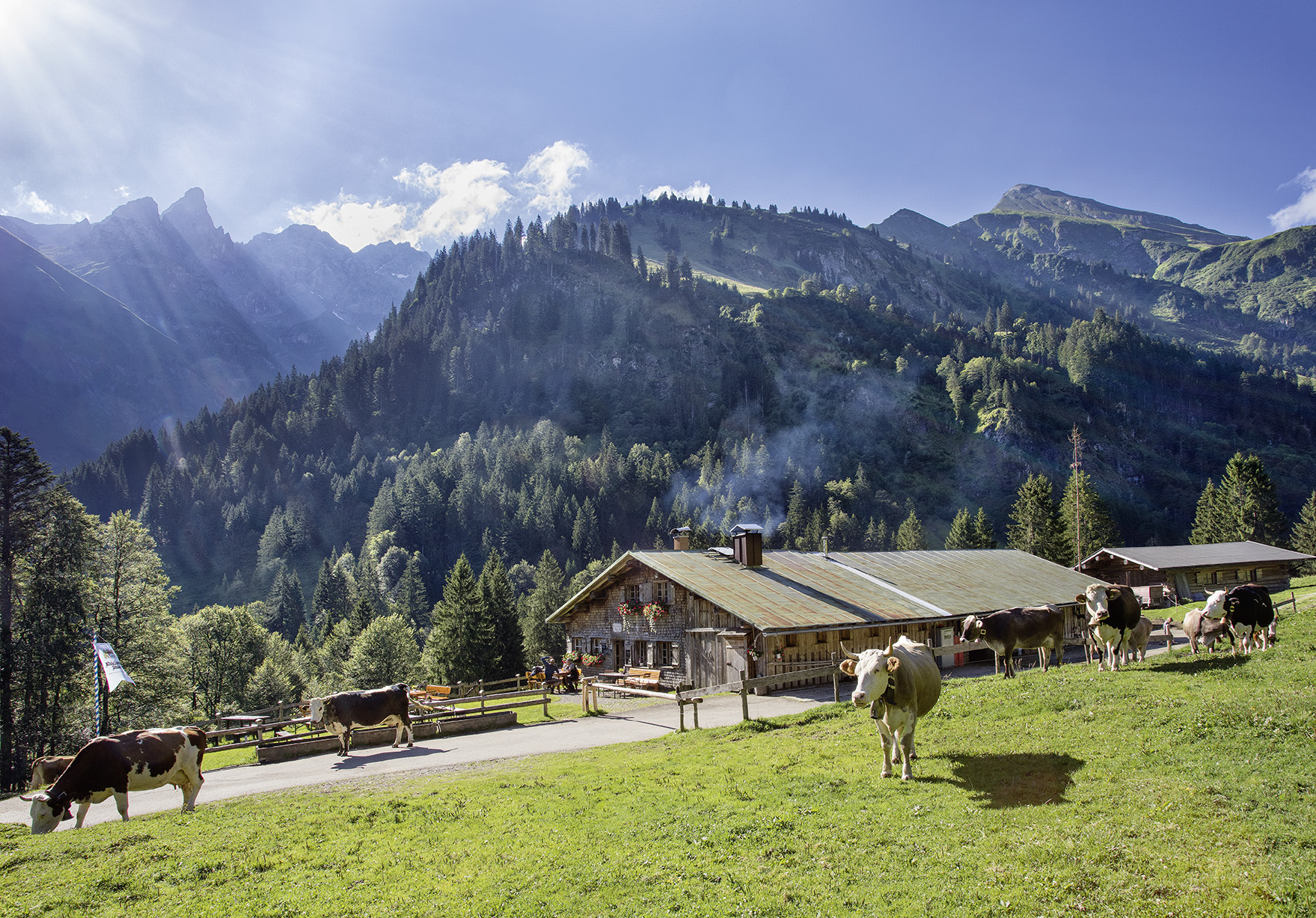 Buchrainer Alpe - Oberstdorf For Future